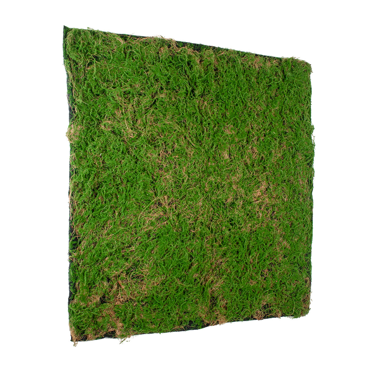 GloboStar® Artificial Garden BRYOPHYTA 20144 Τεχνητό Διακοσμητικό Πάνελ Φυλλωσιάς - Κάθετος Κήπος Βρύα Μ100 x Π100 x Υ3cm - ledmania.gr