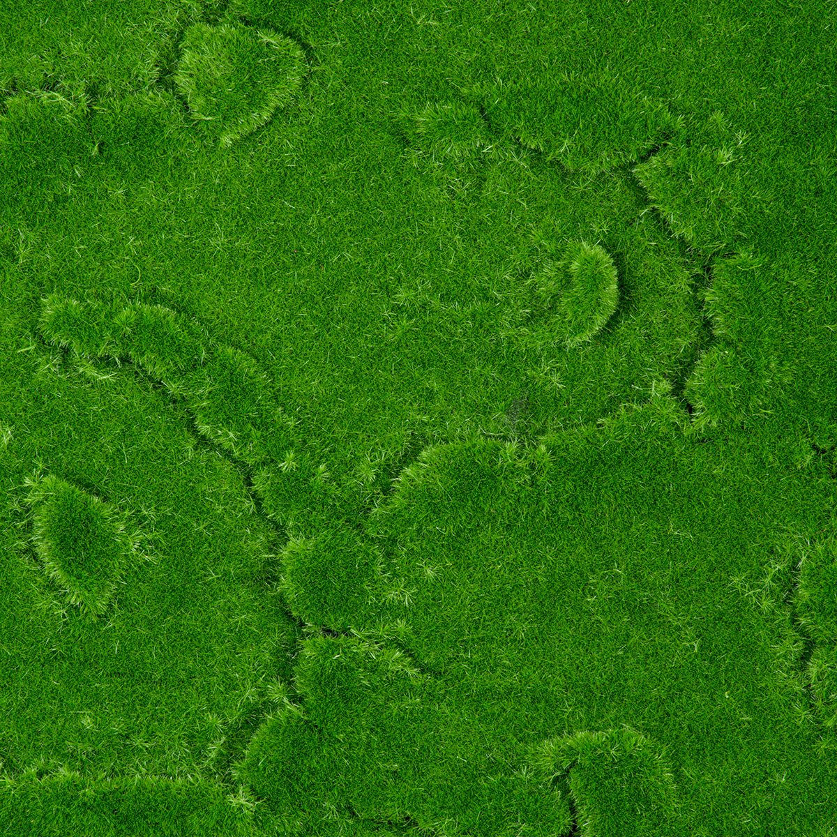 GloboStar® Artificial Garden BRYOPHYTA 20145 Τεχνητό Διακοσμητικό Πάνελ Φυλλωσιάς - Κάθετος Κήπος Βρύα Μ100 x Π100 x Υ3cm - ledmania.gr