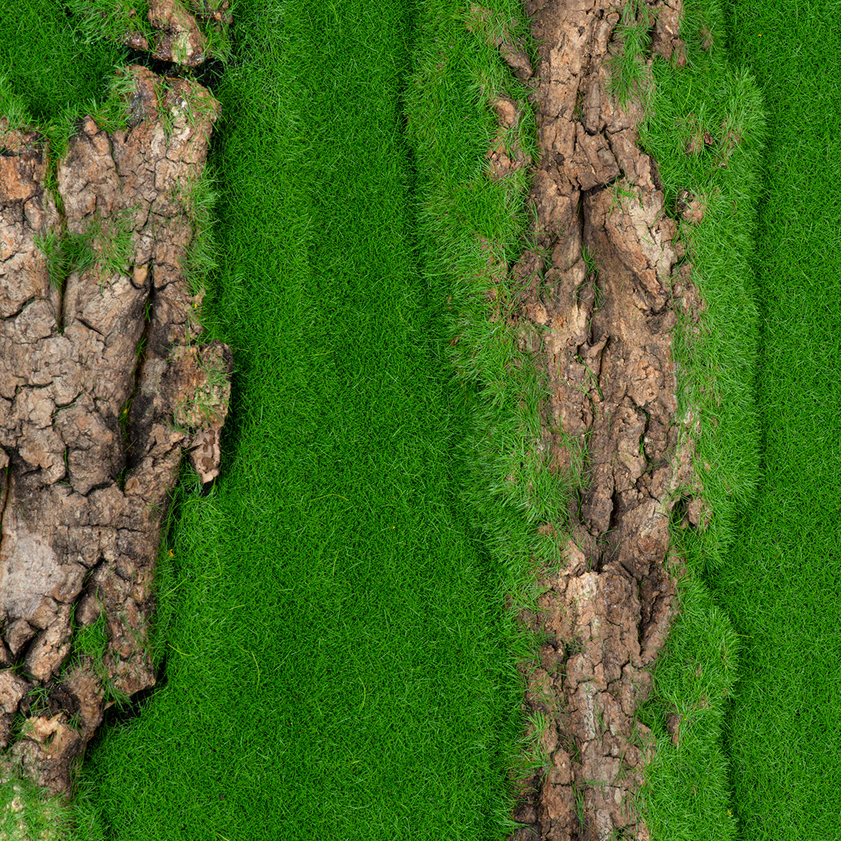 GloboStar® Artificial Garden BRYOPHYTA 20147 Τεχνητό Διακοσμητικό Πάνελ Φυλλωσιάς - Κάθετος Κήπος Βρύα Μ100 x Π100 x Υ3cm - ledmania.gr