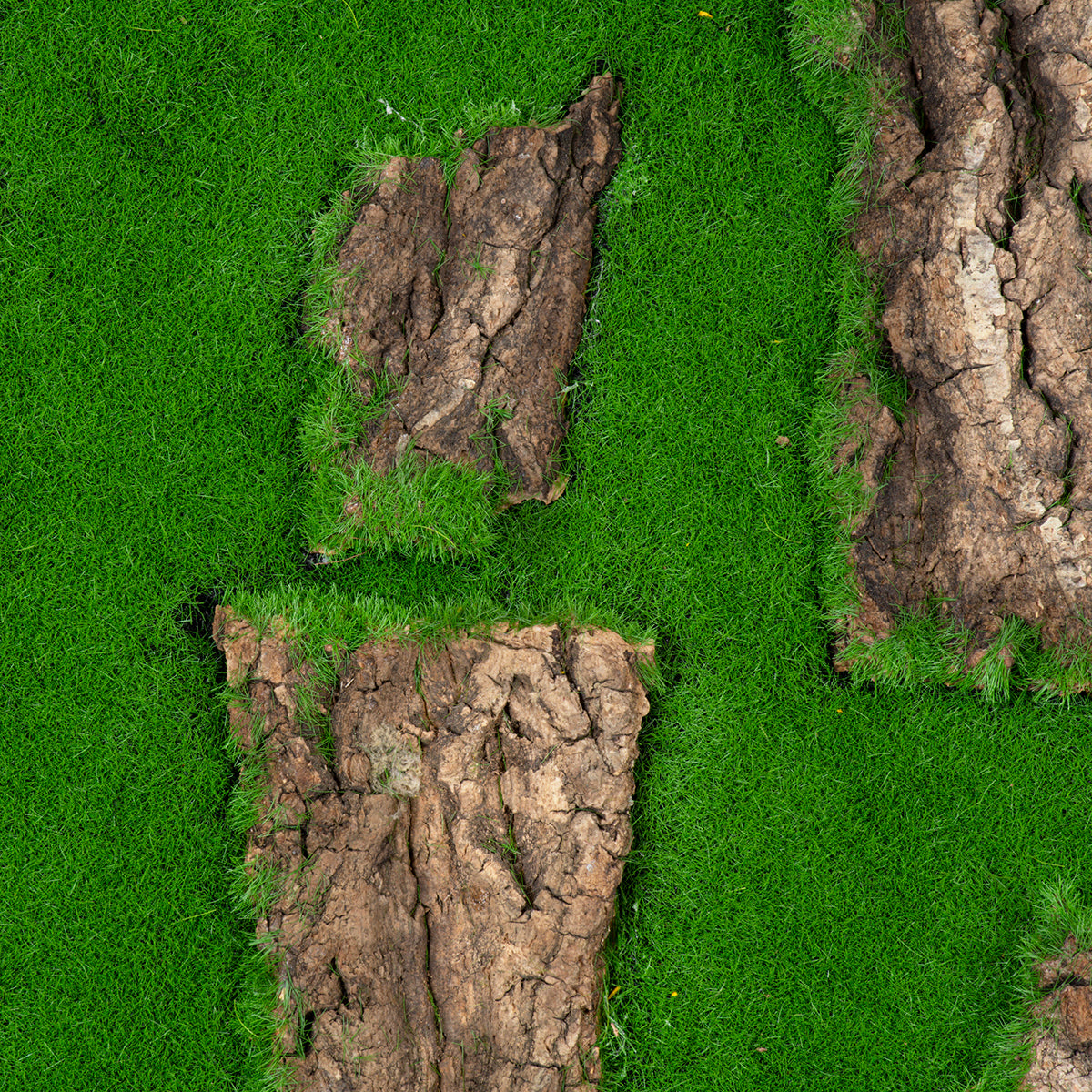 GloboStar® Artificial Garden BRYOPHYTA 20147 Τεχνητό Διακοσμητικό Πάνελ Φυλλωσιάς - Κάθετος Κήπος Βρύα Μ100 x Π100 x Υ3cm - ledmania.gr