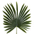 GloboStar® Artificial Garden SERENOA PALM LEAF 20173 Τεχνητό Διακοσμητικό Φύλο Φοινικόδεντρου Σερενόα Βεντάλια Π47 x Υ120cm