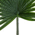 GloboStar® Artificial Garden SERENOA PALM LEAF 20174 Τεχνητό Διακοσμητικό Φύλο Φοινικόδεντρου Σερενόα Βεντάλια Π90 x Υ170cm - ledmania.gr