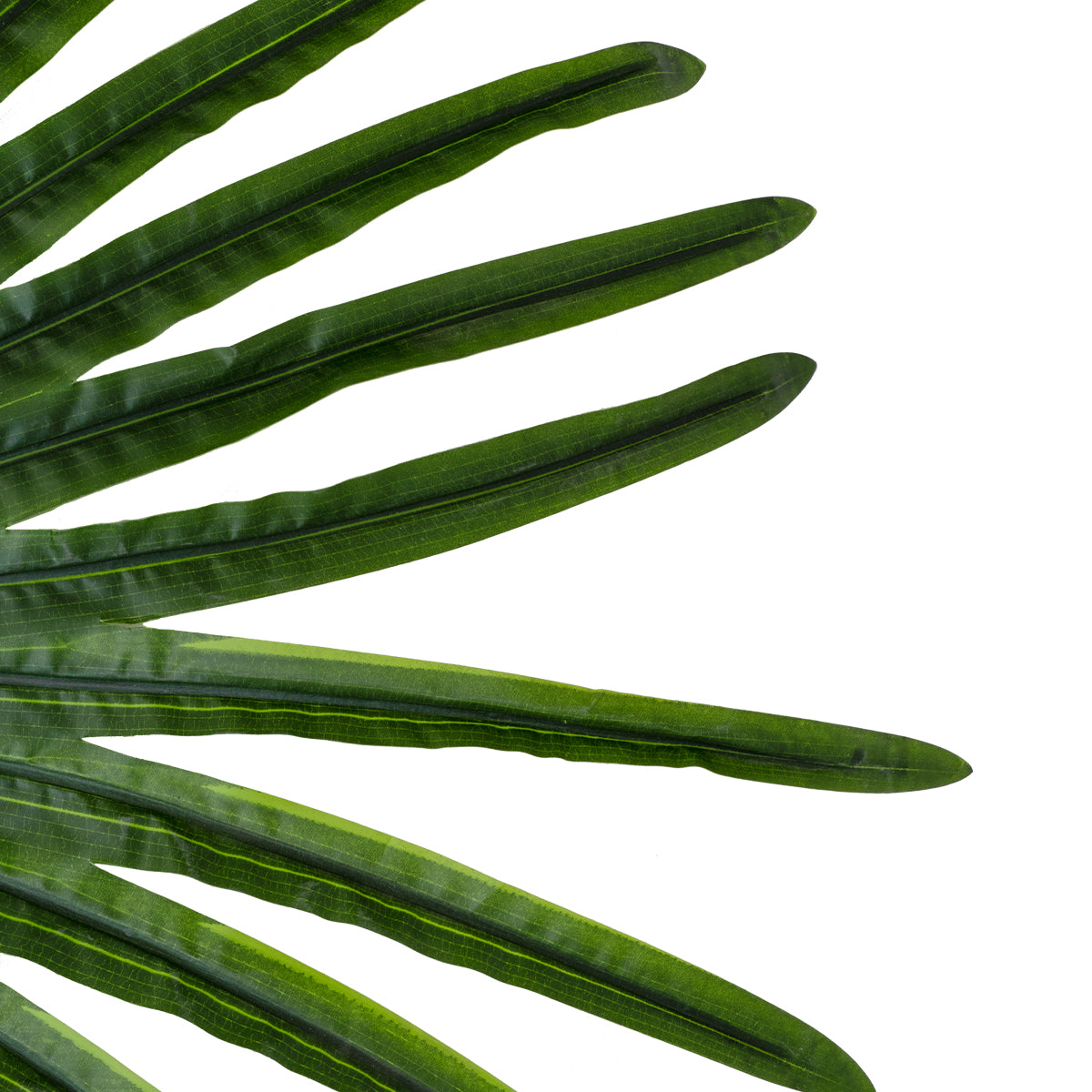 GloboStar® Artificial Garden SERENOA PALM LEAF 20174 Τεχνητό Διακοσμητικό Φύλο Φοινικόδεντρου Σερενόα Βεντάλια Π90 x Υ170cm - ledmania.gr
