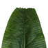 GloboStar® Artificial Garden BANANA TREE LEAF 20177 Τεχνητό Διακοσμητικό Φύλο Μπανανιάς - Μπανανόδεντρου Π30 x Υ100cm - ledmania.gr