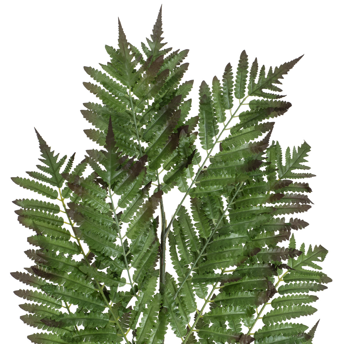 GloboStar® Artificial Garden ALSOPHILA FERN LEAF 20178 Τεχνητό Διακοσμητικό Φύλο Φτέρης Π60 x Υ180cm - ledmania.gr