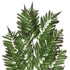 GloboStar® Artificial Garden ALSOPHILA FERN LEAF 20178 Τεχνητό Διακοσμητικό Φύλο Φτέρης Π60 x Υ180cm - ledmania.gr