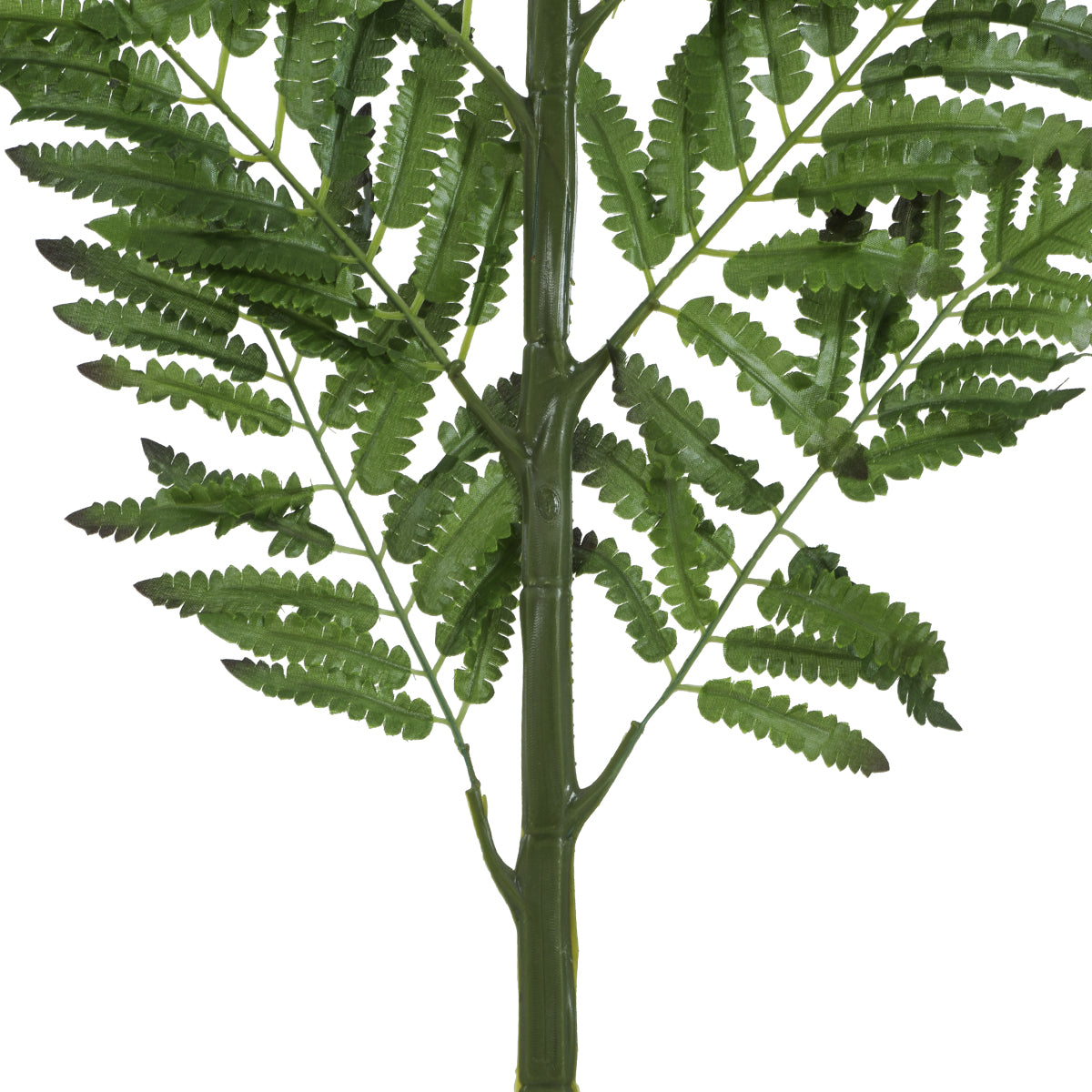GloboStar® Artificial Garden ALSOPHILA FERN LEAF 20178 Τεχνητό Διακοσμητικό Φύλο Φτέρης Π60 x Υ180cm - ledmania.gr