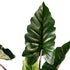 GloboStar® Artificial Garden RAINBOW TARO 20207 Τεχνητό Διακοσμητικό Φυτό Κολοκασία Υ170cm