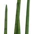 GloboStar® Artificial Garden SANSEVIERIA CYLINDRICA 20210 Τεχνητό Διακοσμητικό Φυτό Σανσεβιέρια Υ120cm - ledmania.gr