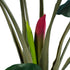 GloboStar® Artificial Garden TARO 20216 Τεχνητό Διακοσμητικό Φυτό Κολοκασία Υ140cm - ledmania.gr