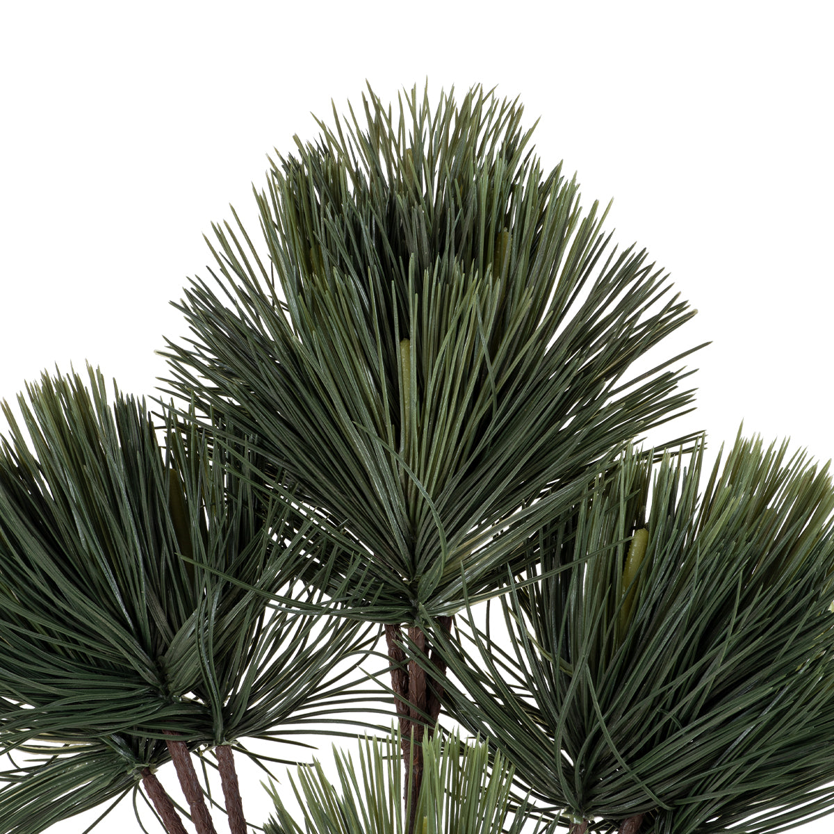 GloboStar® Artificial Garden PINUS MASSONIANA BRANCH 20219 Τεχνητό Διακοσμητικό Κλαδί Πεύκου Π50 x Υ70cm - ledmania.gr