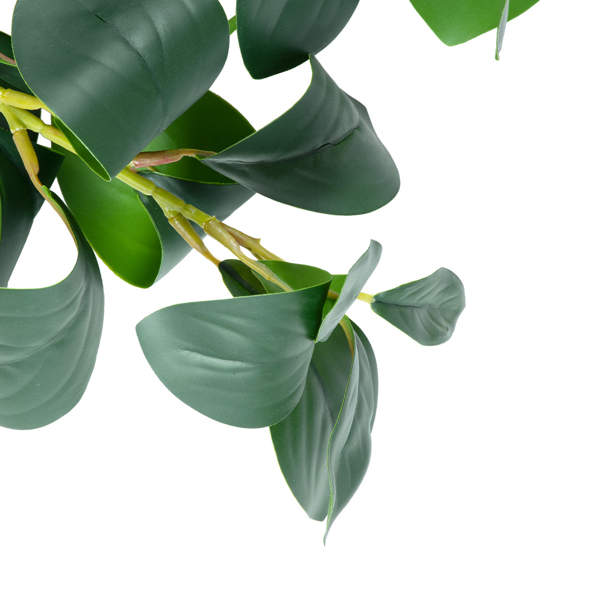 GloboStar® Artificial Garden LAURUS NOBILIS BRANCH 20224 Τεχνητό Διακοσμητικό Κλαδί Δάφνης Π35 x Υ70cm - ledmania.gr