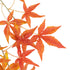 GloboStar® Artificial Garden MAPLE BRANCH 20230 Τεχνητό Διακοσμητικό Κλαδί Σφένδαμου Π55 x Υ60cm - ledmania.gr