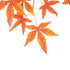 GloboStar® Artificial Garden MAPLE BRANCH 20230 Τεχνητό Διακοσμητικό Κλαδί Σφένδαμου Π55 x Υ60cm - ledmania.gr