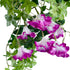 GloboStar® Artificial Garden MORNING GLORY HANGING BRANCH 20238 Τεχνητό Διακοσμητικό Κρεμαστό Φυτό Ιπομέα - Πρωϊνή Χαρά Υ60cm - ledmania.gr