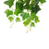 GloboStar® Artificial Garden IVY HANGING BRANCH 20253 Τεχνητό Διακοσμητικό Κρεμαστό Φυτό Κισσός Υ130cm - ledmania.gr