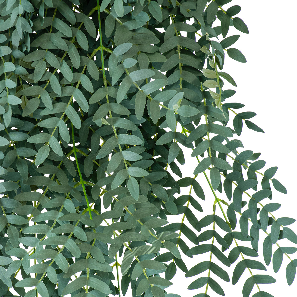 GloboStar® Artificial Garden ACACIA HANGING BRANCH 20254 Τεχνητό Διακοσμητικό Κρεμαστό Φυτό Ακακία Υ130cm - ledmania.gr