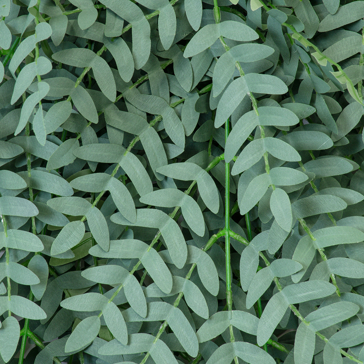 GloboStar® Artificial Garden ACACIA HANGING BRANCH 20254 Τεχνητό Διακοσμητικό Κρεμαστό Φυτό Ακακία Υ130cm - ledmania.gr