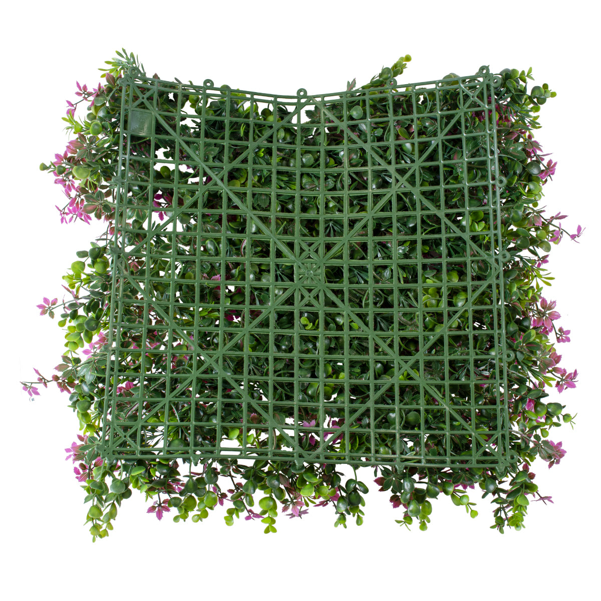 GloboStar® Artificial Garden CYPHEA HYSSOPIFOLIA 20350 Τεχνητό Διακοσμητικό Πάνελ Λουλουδιών - Κάθετος Κήπος σύνθεση Άνθος Κουφέας Μ50 x Π50 x Υ11cm - ledmania.gr