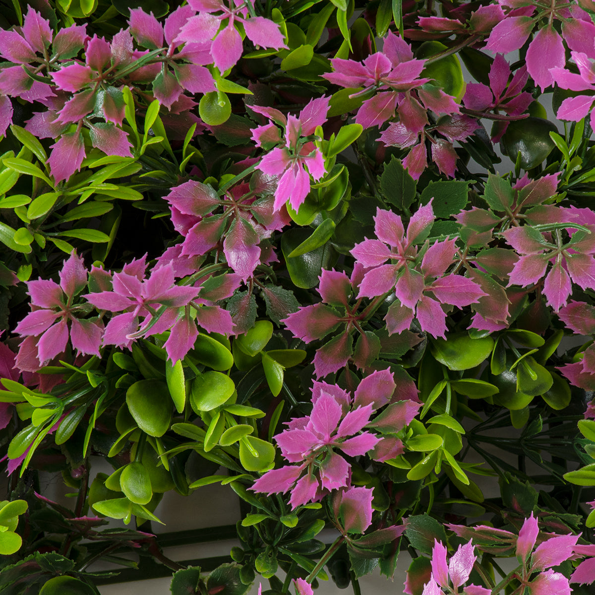 GloboStar® Artificial Garden CYPHEA HYSSOPIFOLIA 20350 Τεχνητό Διακοσμητικό Πάνελ Λουλουδιών - Κάθετος Κήπος σύνθεση Άνθος Κουφέας Μ50 x Π50 x Υ11cm - ledmania.gr