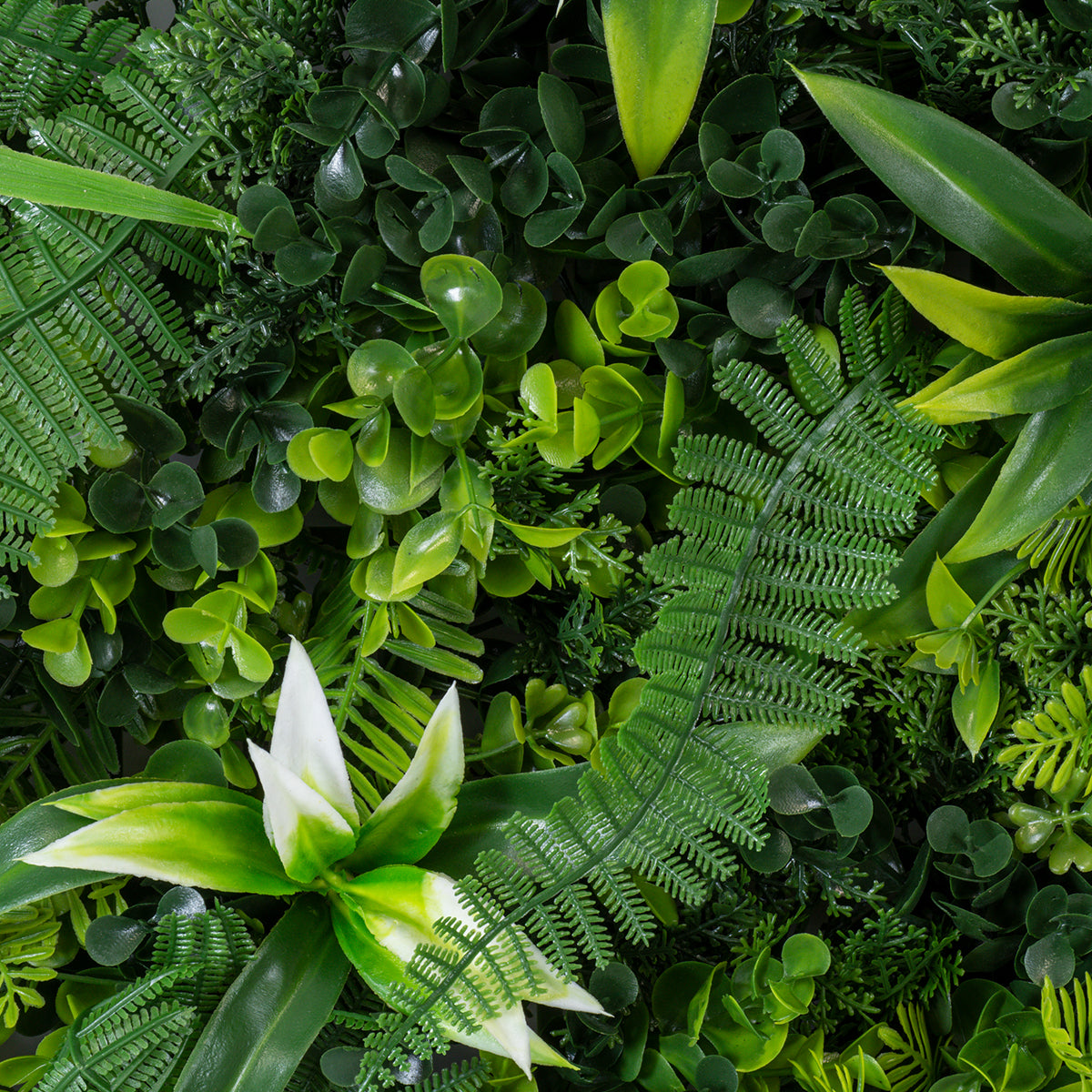 GloboStar® Artificial Garden JUNGLE FERN 20351 Τεχνητό Διακοσμητικό Πάνελ Φυλλωσιάς - Κάθετος Κήπος σύνθεση Ζούγκλα Φτέρης Μ100 x Π100 x Υ20cm - ledmania.gr