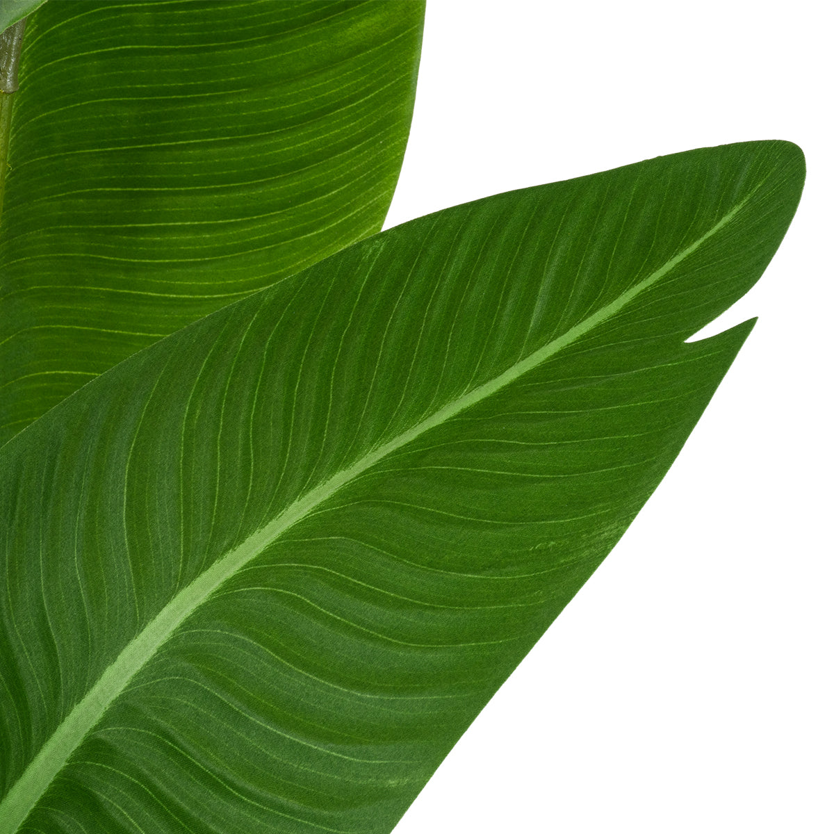 GloboStar® Artificial Garden GREEN STRELITZIA 20369 Τεχνητό Διακοσμητικό Φυτό Πράσινη Στερλίτσια Υ120cm - ledmania.gr