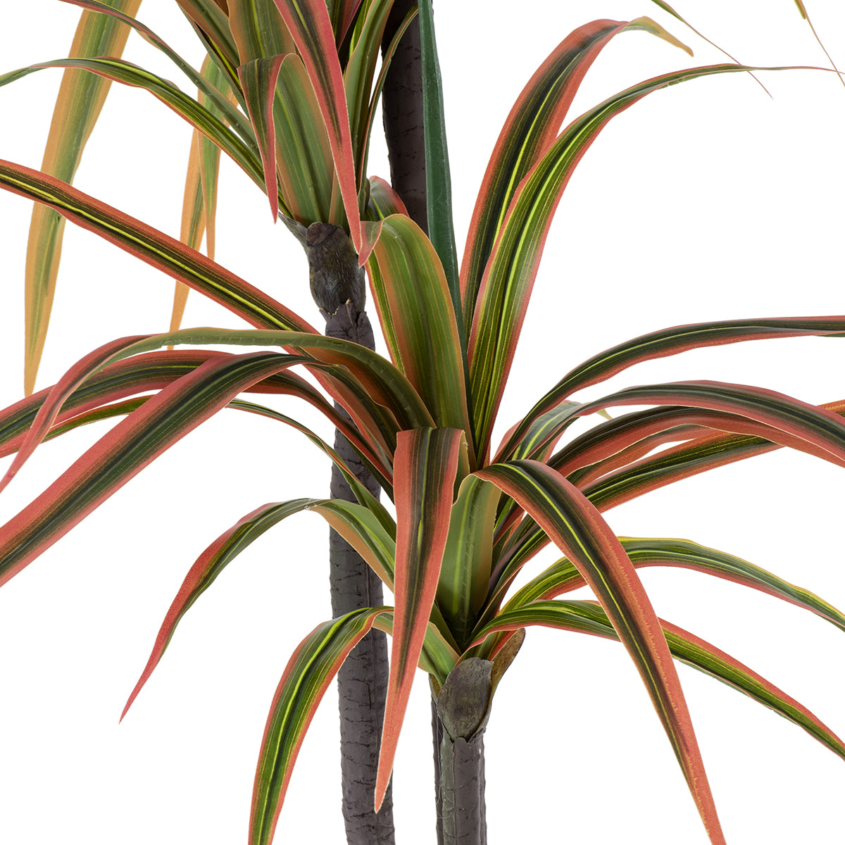 GloboStar® Artificial Garden DRAGON BLOOD TREE 20370 Τεχνητό Διακοσμητικό Φυτό Δράκαινα Υ150cm - ledmania.gr