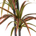 GloboStar® Artificial Garden DRAGON BLOOD TREE 20371 Τεχνητό Διακοσμητικό Φυτό Δράκαινα Υ220cm - ledmania.gr