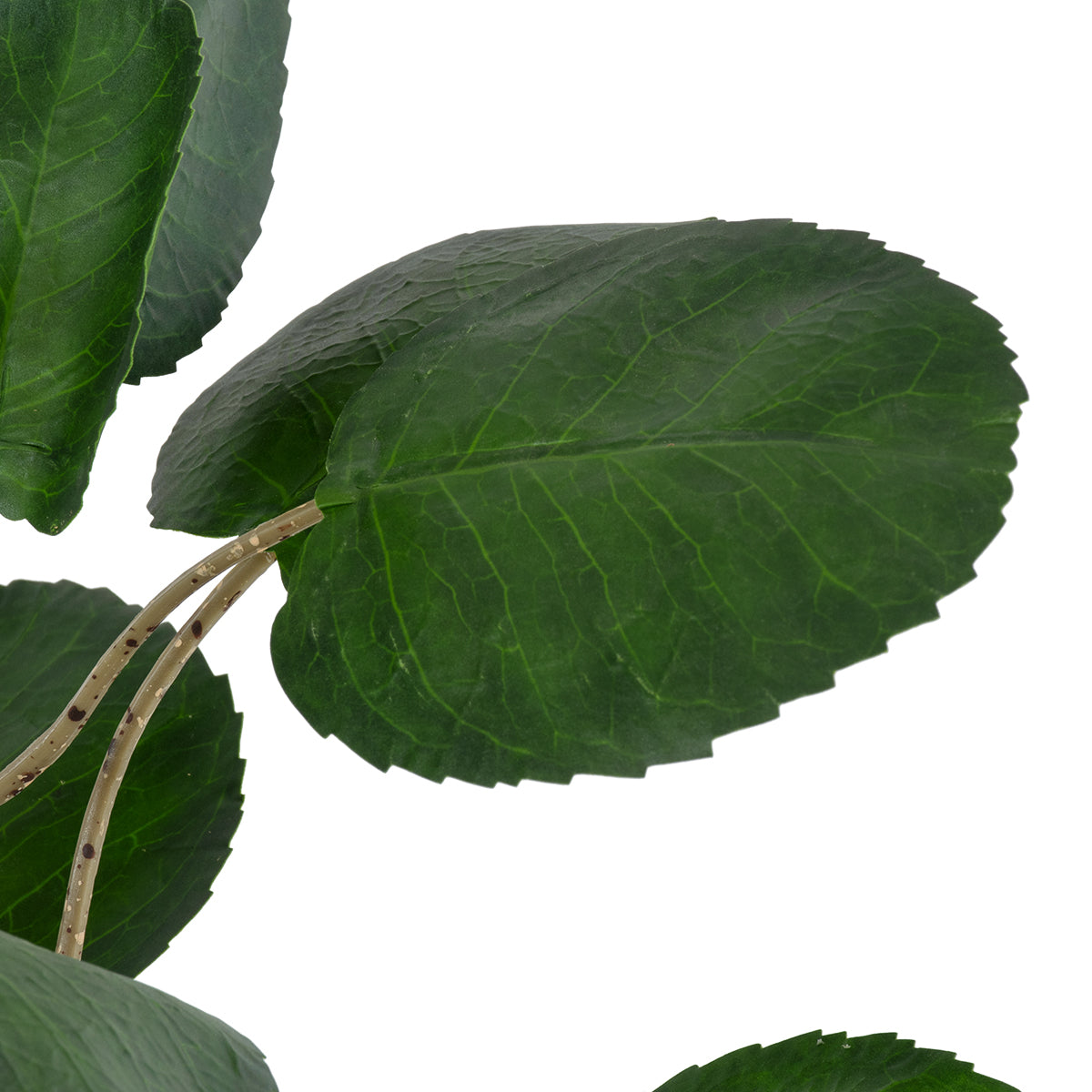 GloboStar® Artificial Garden POLYSCIAS BALFOURIANA TREE 20373 Τεχνητό Διακοσμητικό Φυτό Πολυσκιά Υ70cm - ledmania.gr