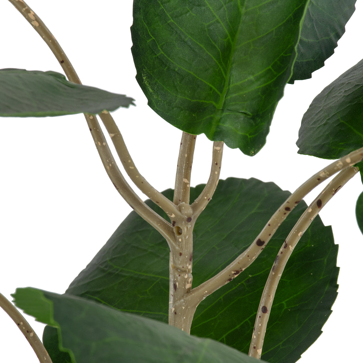GloboStar® Artificial Garden POLYSCIAS BALFOURIANA TREE 20373 Τεχνητό Διακοσμητικό Φυτό Πολυσκιά Υ70cm - ledmania.gr