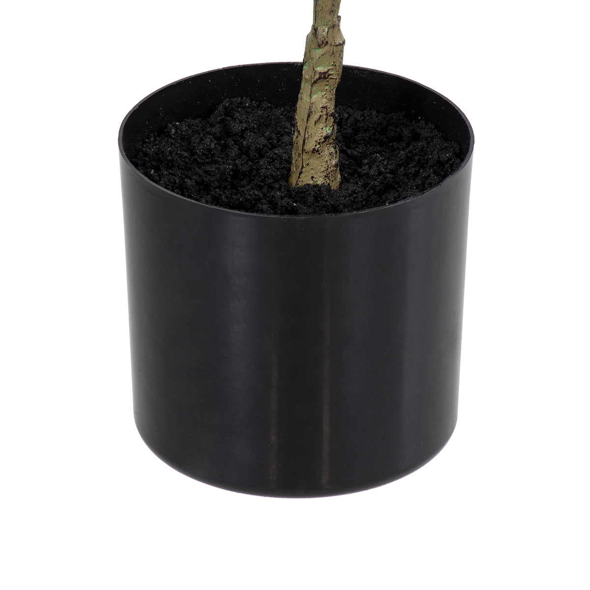 GloboStar® Artificial Garden POLYSCIAS BALFOURIANA TREE 20373 Τεχνητό Διακοσμητικό Φυτό Πολυσκιά Υ70cm - ledmania.gr
