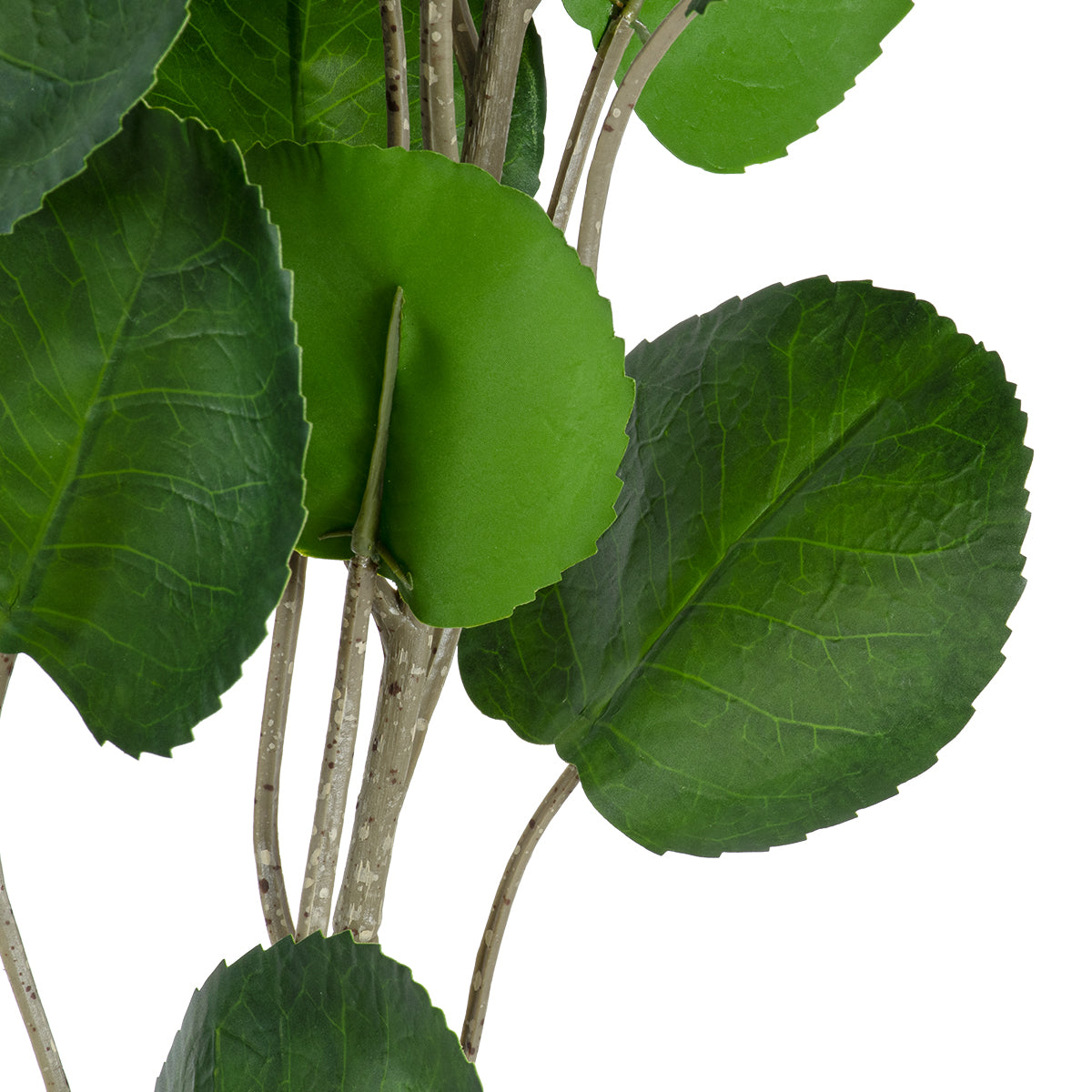 GloboStar® Artificial Garden POLYSCIAS BALFOURIANA TREE 20374 Τεχνητό Διακοσμητικό Φυτό Πολυσκιά Υ110cm - ledmania.gr