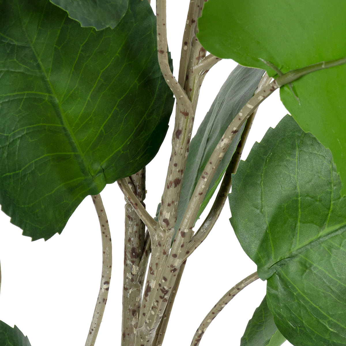 GloboStar® Artificial Garden POLYSCIAS BALFOURIANA TREE 20374 Τεχνητό Διακοσμητικό Φυτό Πολυσκιά Υ110cm - ledmania.gr