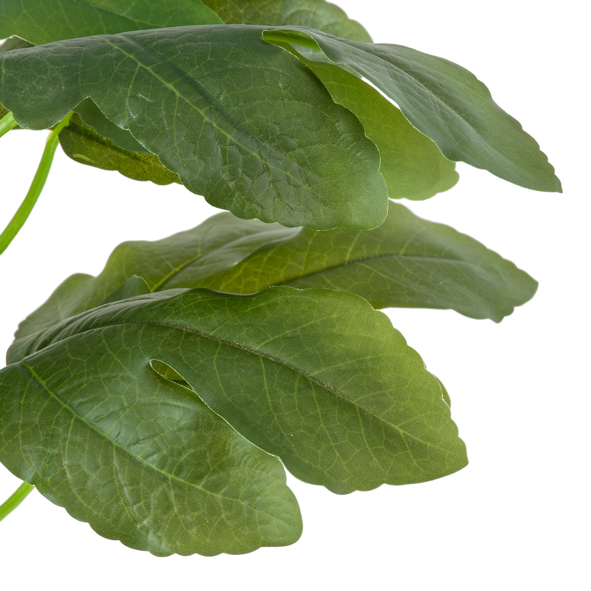 GloboStar® Artificial Garden FIG TREE 20380 Τεχνητό Διακοσμητικό Φυτό Συκιά Υ50cm - ledmania.gr