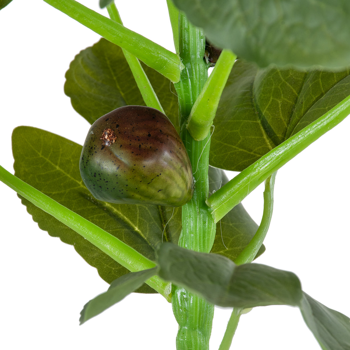GloboStar® Artificial Garden FIG TREE 20380 Τεχνητό Διακοσμητικό Φυτό Συκιά Υ50cm - ledmania.gr