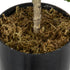 GloboStar® Artificial Garden FIG TREE 20380 Τεχνητό Διακοσμητικό Φυτό Συκιά Υ50cm - ledmania.gr