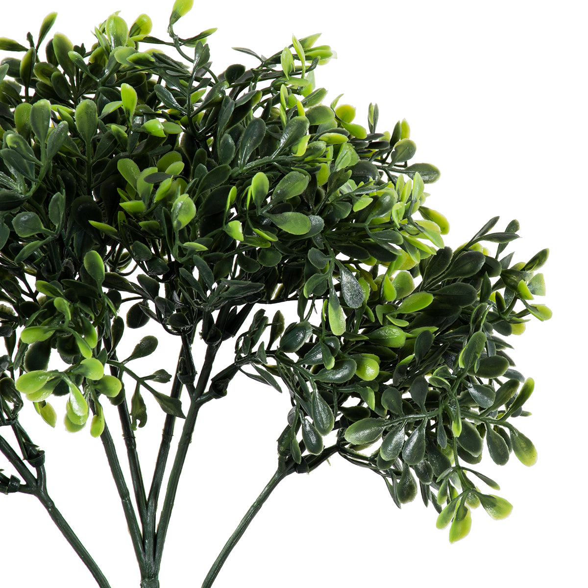 GloboStar® Artificial Garden BUXUS 20387 Τεχνητό Διακοσμητικό Φυτό Πυξός Υ30cm - ledmania.gr