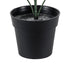 GloboStar® Artificial Garden BUXUS 20387 Τεχνητό Διακοσμητικό Φυτό Πυξός Υ30cm - ledmania.gr