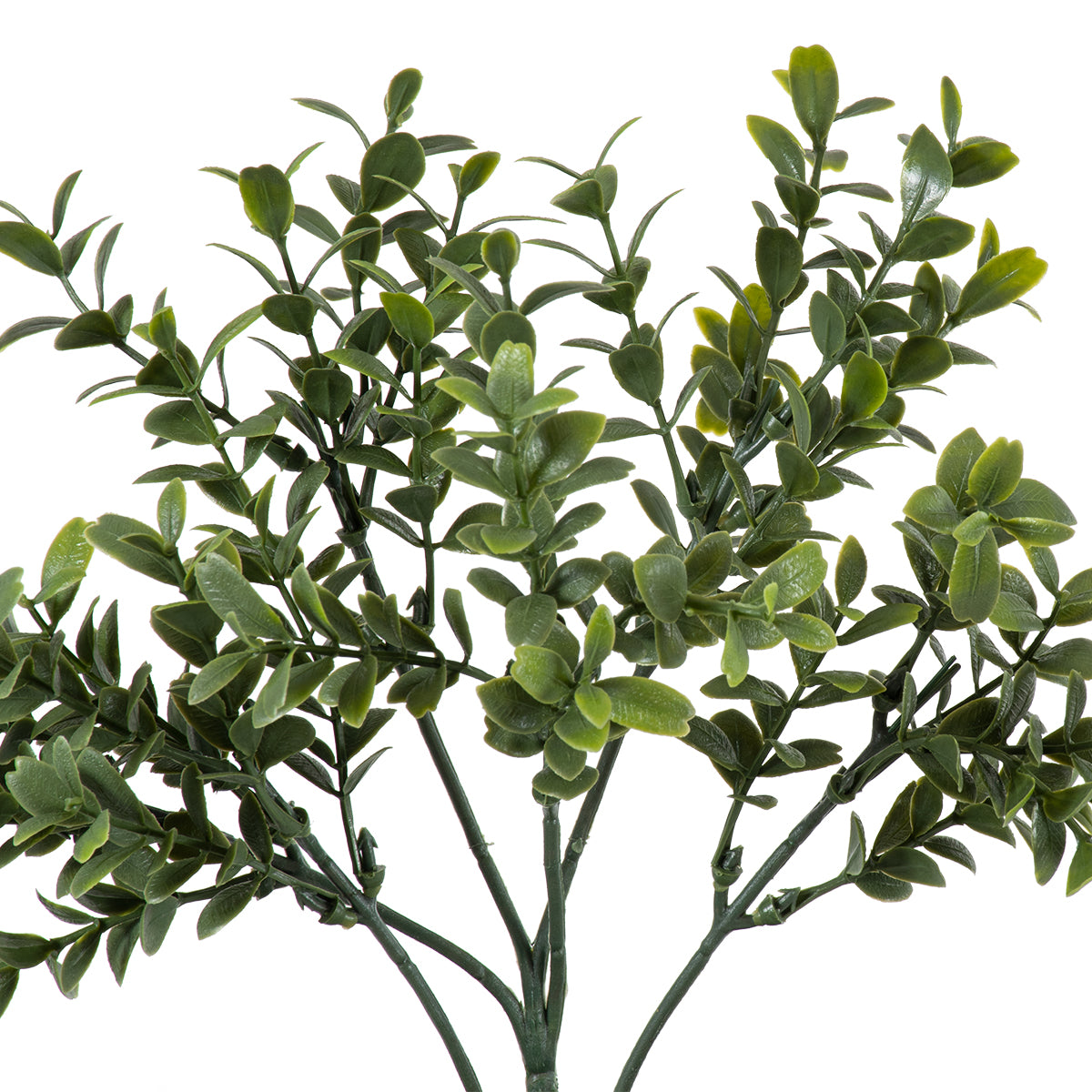 GloboStar® Artificial Garden BUXUS 20388 Τεχνητό Διακοσμητικό Φυτό Πυξός Υ30cm - ledmania.gr
