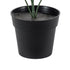 GloboStar® Artificial Garden BUXUS 20388 Τεχνητό Διακοσμητικό Φυτό Πυξός Υ30cm - ledmania.gr