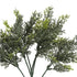 GloboStar® Artificial Garden LEMON CYPRESS 20389 Τεχνητό Διακοσμητικό Φυτό Λεμονόκυπάρισσο Υ30cm - ledmania.gr