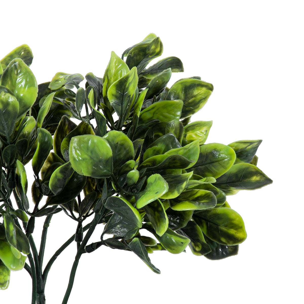 GloboStar® Artificial Garden ANUBIA BARTERI 20390 Τεχνητό Διακοσμητικό Φυτό Ανούμπια Υ30cm - ledmania.gr