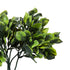 GloboStar® Artificial Garden ANUBIA BARTERI 20390 Τεχνητό Διακοσμητικό Φυτό Ανούμπια Υ30cm - ledmania.gr