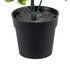 GloboStar® Artificial Garden ANUBIA BARTERI 20390 Τεχνητό Διακοσμητικό Φυτό Ανούμπια Υ30cm - ledmania.gr