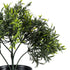 GloboStar® Artificial Garden BABY BAMBOO 20391 Τεχνητό Διακοσμητικό Φυτό Μικρό Μπαμπού Υ30cm - ledmania.gr