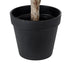 GloboStar® Artificial Garden FICUS BENJAMINA TREE 20397 Τεχνητό Διακοσμητικό Φυτό Φίκος Μπενζαμίνη Υ35cm - ledmania.gr
