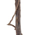 GloboStar® Artificial Garden BUXUS 20407 Τεχνητό Διακοσμητικό Φυτό Πυξός Υ120cm - ledmania.gr