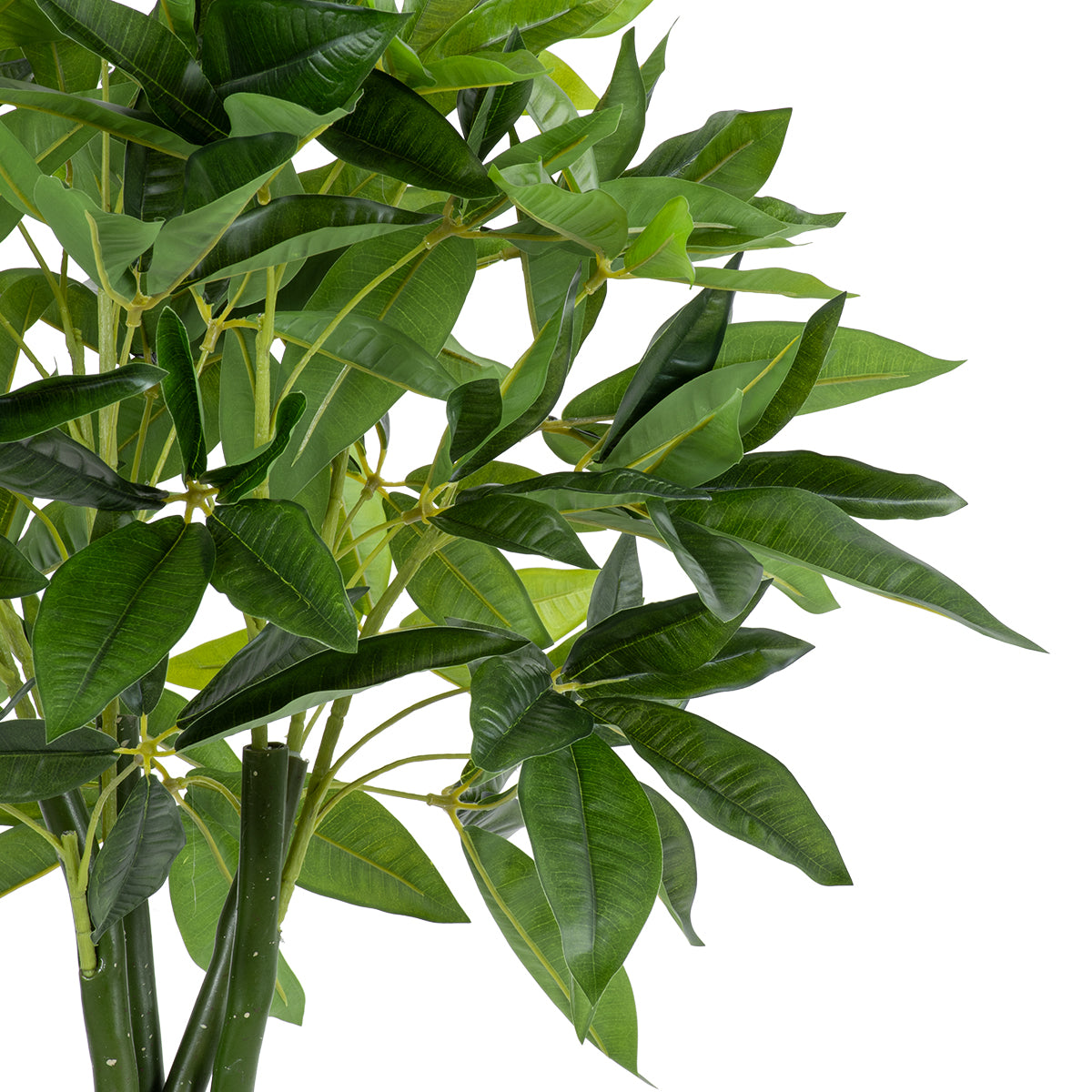 GloboStar® Artificial Garden PACHIRA GLABRA 20426 Τεχνητό Διακοσμητικό Φυτό Παχίρα της Τύχης Υ120cm - ledmania.gr