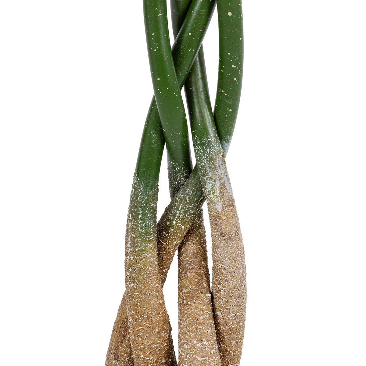 GloboStar® Artificial Garden PACHIRA GLABRA 20426 Τεχνητό Διακοσμητικό Φυτό Παχίρα της Τύχης Υ120cm - ledmania.gr
