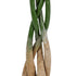 GloboStar® Artificial Garden PACHIRA GLABRA 20426 Τεχνητό Διακοσμητικό Φυτό Παχίρα της Τύχης Υ120cm - ledmania.gr